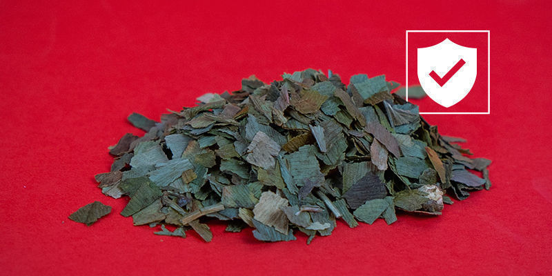 Je už&iacute;v&aacute;n&iacute; Ginkgo biloba bezpečn&eacute;?