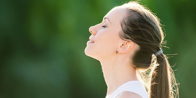 K čemu se Ginkgo biloba použ&iacute;v&aacute;?