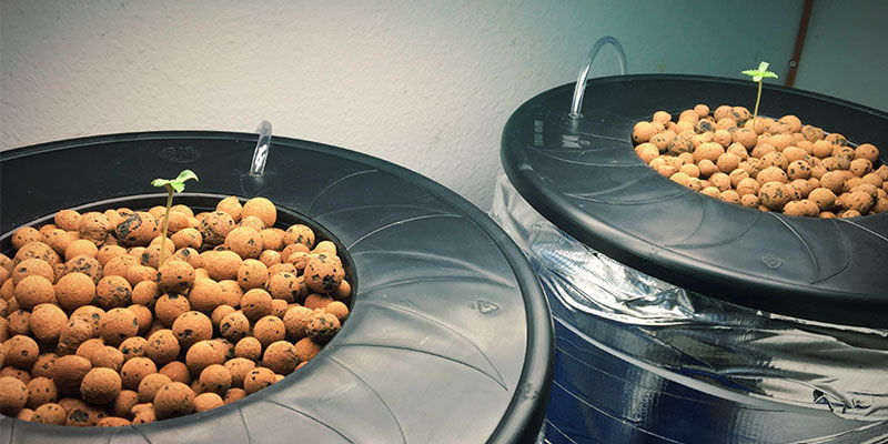 PŘESTAVBA DWC KYBL&Iacute;KŮ NA RECIRKULAČN&Iacute; SYST&Eacute;M