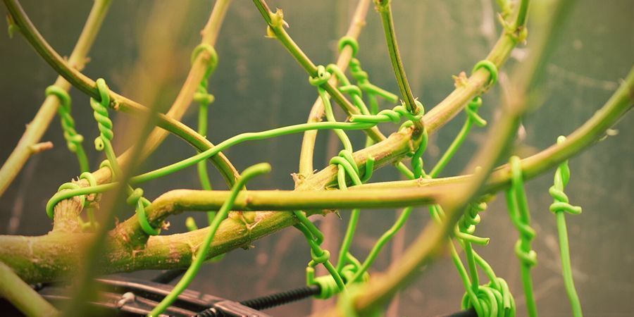 Jak prov&aacute;dět low stress training