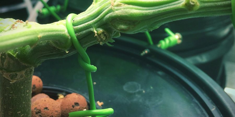 LST: Přivažte pevně