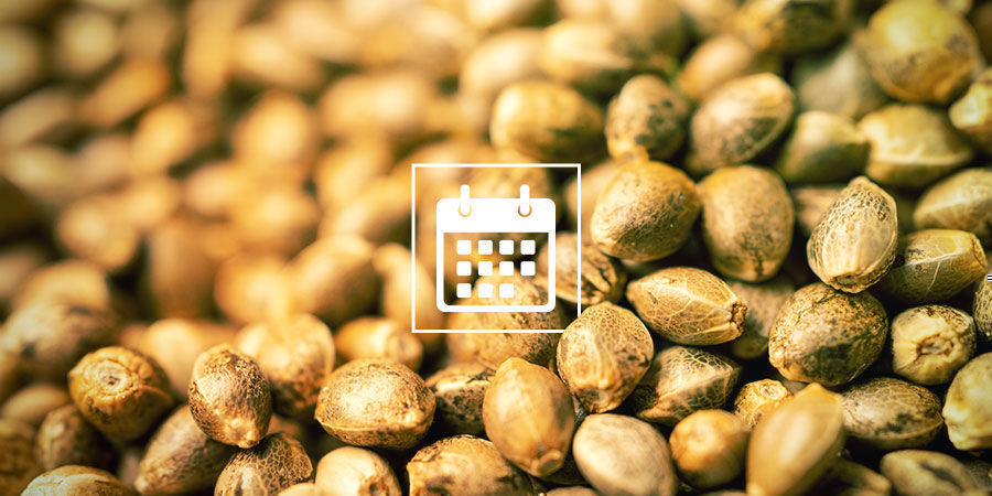 Napl&aacute;nujte si opylen&iacute; a &scaron;lechtěn&iacute; je&scaron;tě dnes