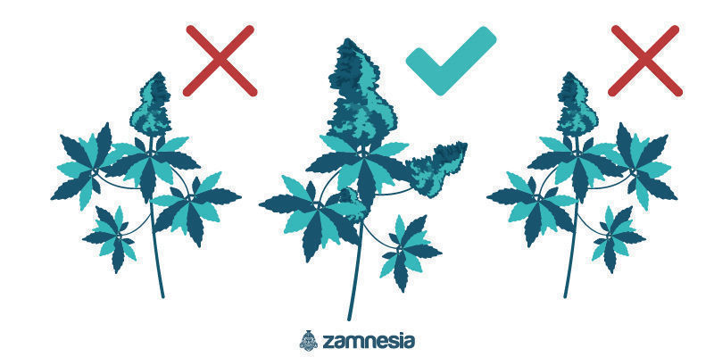 Směrov&yacute; v&yacute;běr