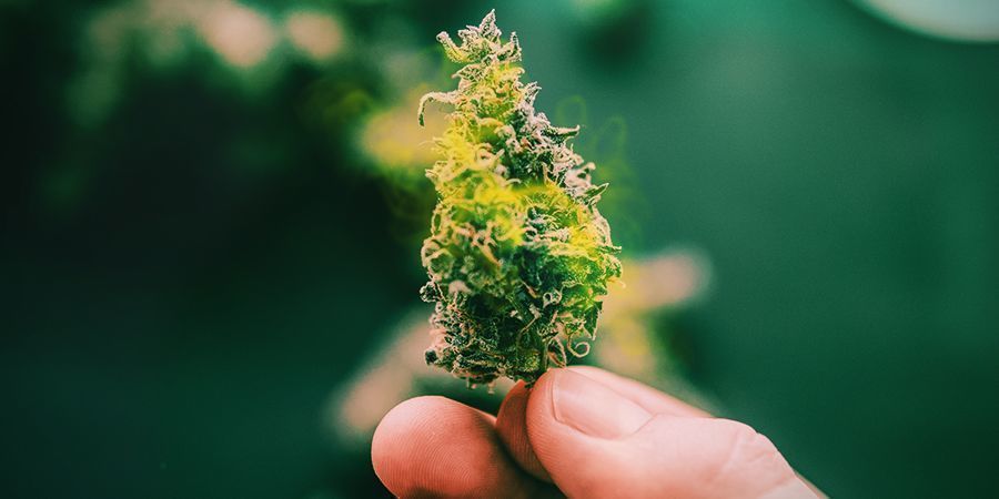 V&Yacute;HODY A NEV&Yacute;HODY VODN&Iacute;HO CURINGU