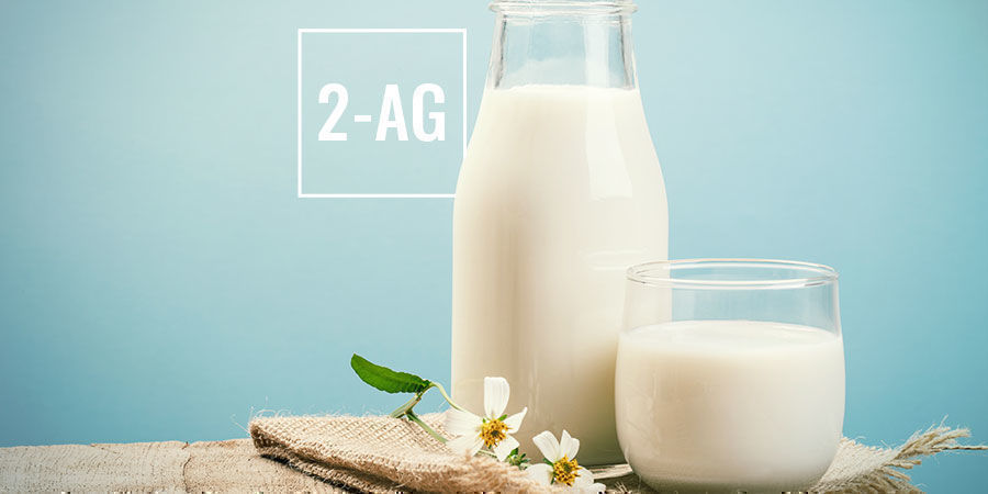 Jak funguje CBDV: 2-AG