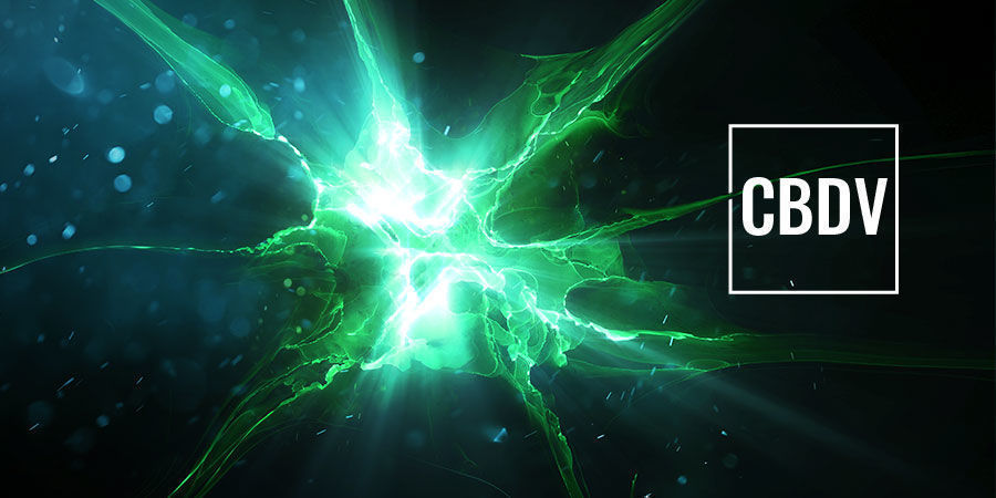 Jak CBDV funguje: kan&aacute;ly TRVP
