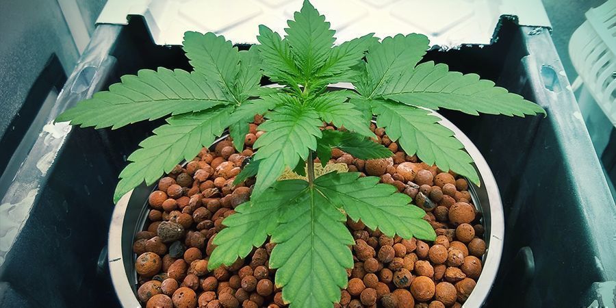 Typy hydro syst&eacute;mů: Ebb and flow (zaplavov&aacute;n&iacute; a odtok)