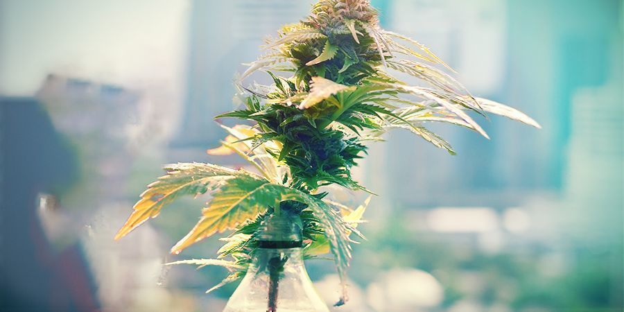 Typy hydro syst&eacute;mů: knotov&yacute; syst&eacute;m