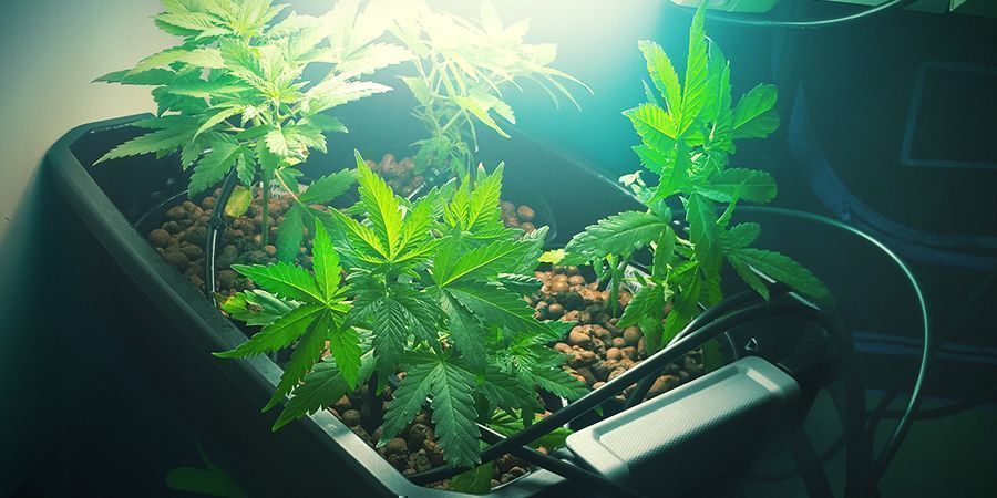 Typy hydro syst&eacute;mů: kapkov&yacute;