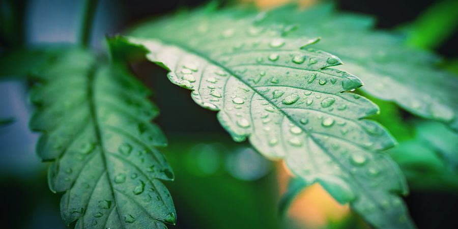 Co je RH (relativn&iacute; vlhkost)?