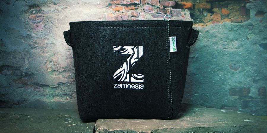 KROK 5: PŘESAĎTE SAZENICE KONOP&Iacute; A PŘENESTE JE VEN