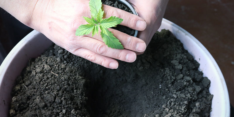 Přesun ven (květen)