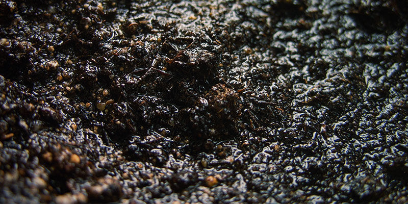 Dostupnost živin v konop&iacute;: vlhkost půdy