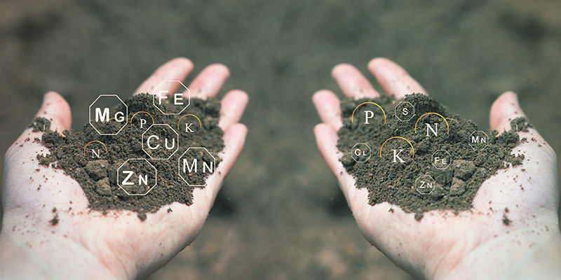 Jak efektivně použ&iacute;vat živiny