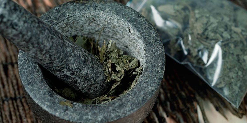 Metody Mazat&eacute;ck&yacute;ch indi&aacute;nů