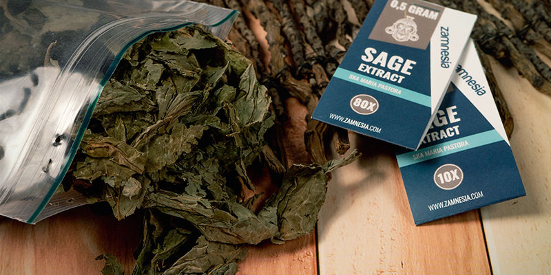 Jak&eacute; druhy &scaron;alvěje divotvorn&eacute; jsou k dispozici?