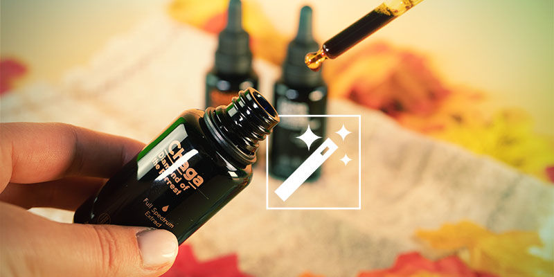 &Uacute;činky houbov&yacute;ch tinktur