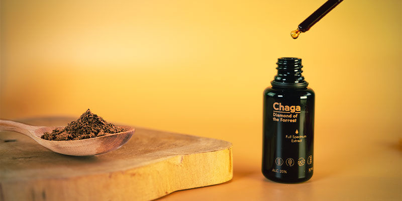 Je houbov&yacute; extrakt tot&eacute;ž jako houbov&aacute; tinktura?