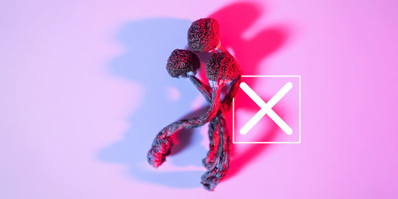 Je houbov&aacute; tinktura psychoaktivn&iacute;?