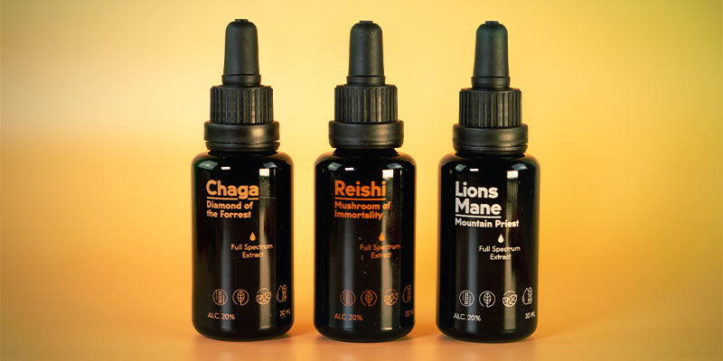 K čemu se použ&iacute;v&aacute; houbov&aacute; tinktura?