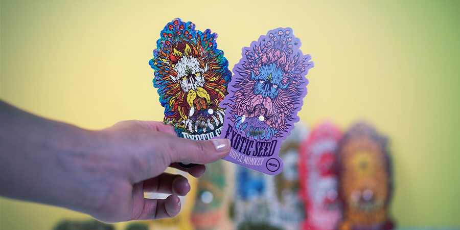 Exotic Seed kvalitn&iacute; semena