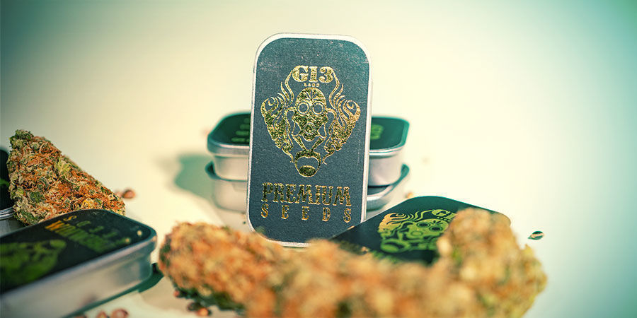  Top 3 Cannabis Strains By G13 Labs