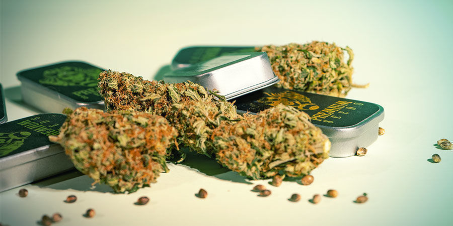 Č&iacute;m se G13 Labs li&scaron;&iacute;?