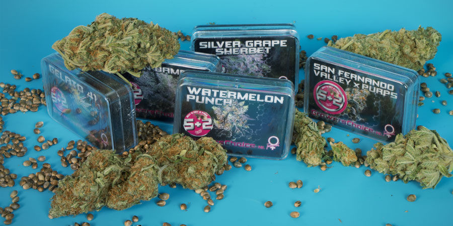 Kdo jsou Growers Choice?