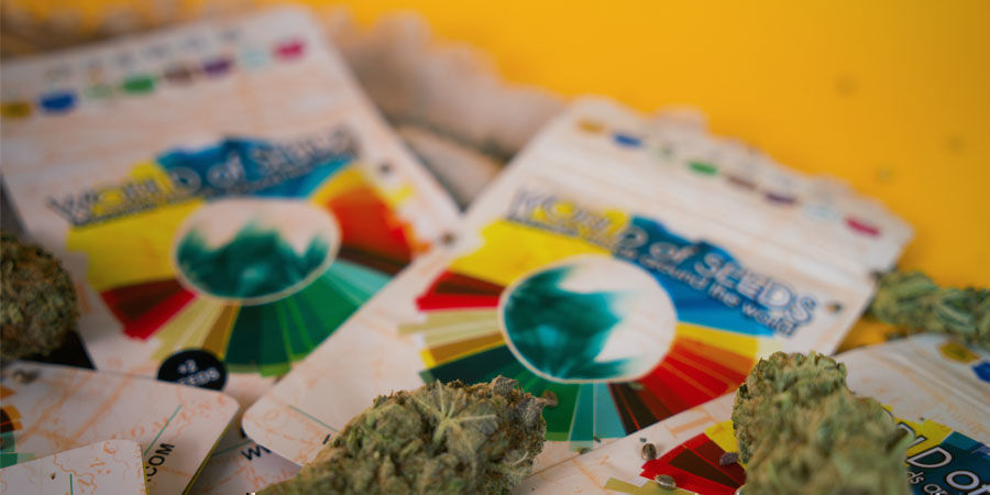 World Of Seeds: Objevte svět semen je&scaron;tě dnes