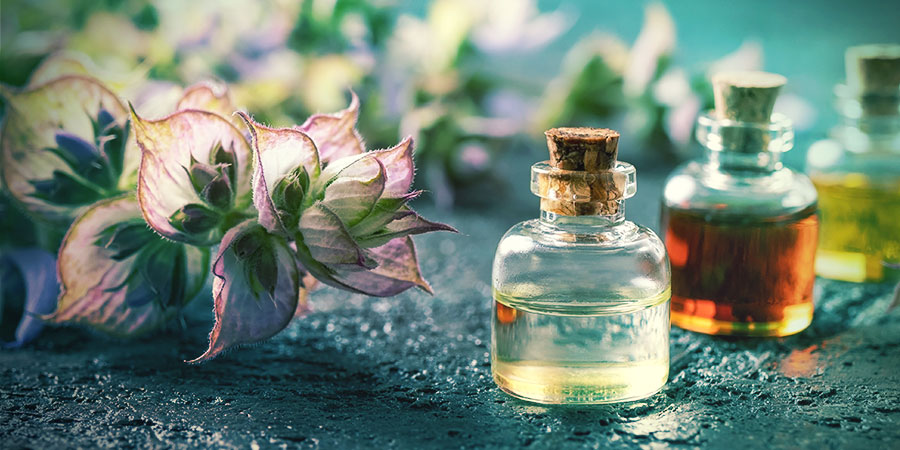 CO JSOU BYLINY NA SNY?