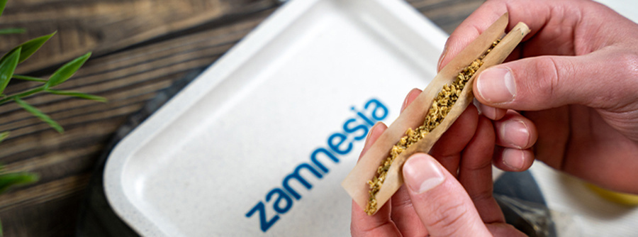 Informace o Headshopu Zamnesia