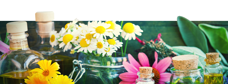 Informace o Smartshopu Zamnesia