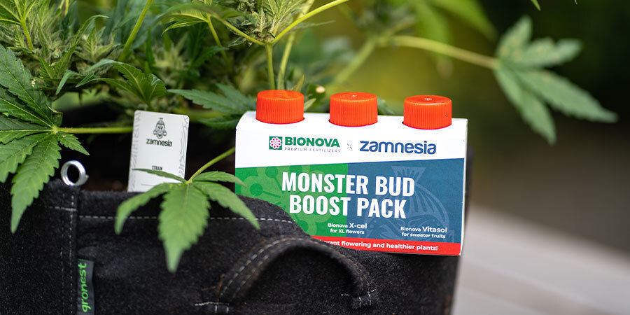 Other products to boost cannabis plant performance
