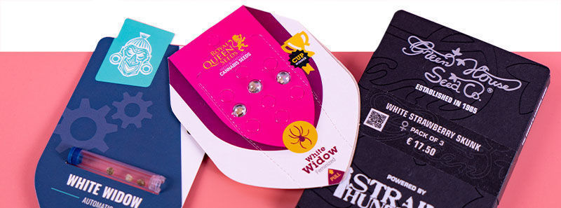 O odrůd&aacute;ch White Widow