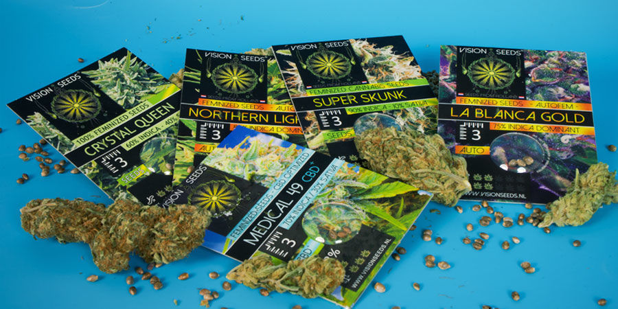 Př&iacute;běh značky Vision Seeds