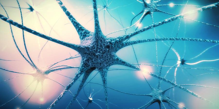 Krok 4: Vyživte nervov&yacute; syst&eacute;m