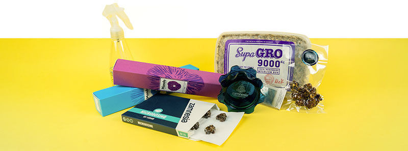 V&scaron;e pro intenzivn&iacute; psilocybinov&eacute; v&yacute;lety i microdosing