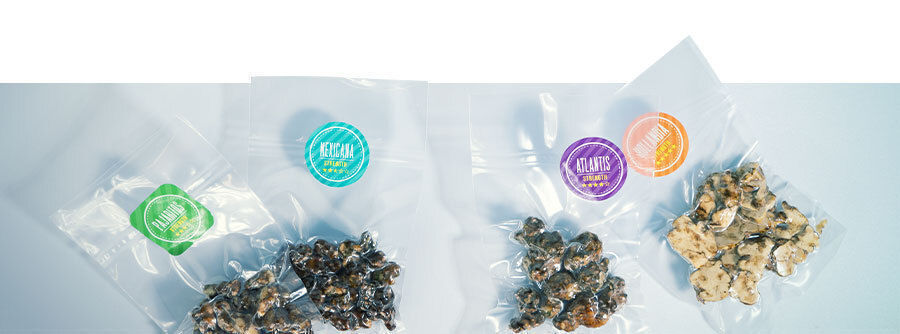 Kupte magick&eacute; lan&yacute;že online na Zamnesia