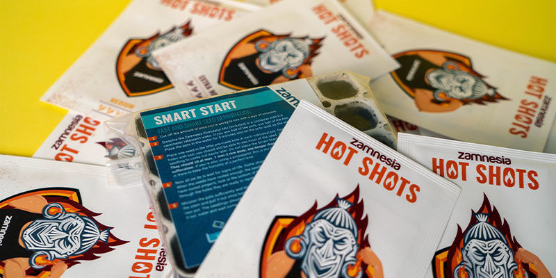 Pěstov&aacute;n&iacute; chilli papriček &ndash; jak kl&iacute;čit semena chilli paprik