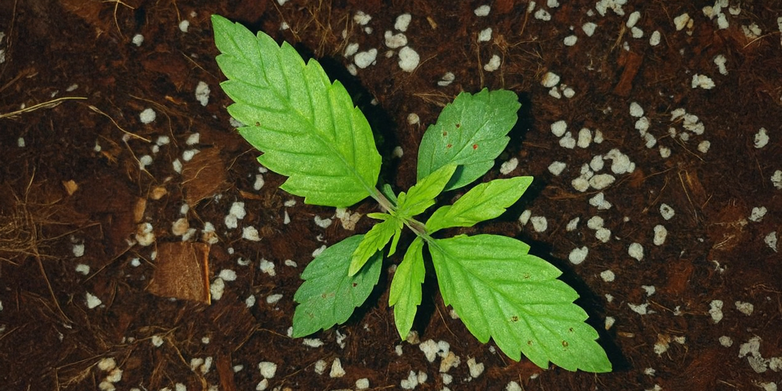 Nedostatek v&aacute;pn&iacute;ku