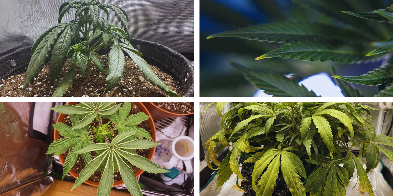 Rychl&yacute; kontroln&iacute; seznam př&iacute;znaků