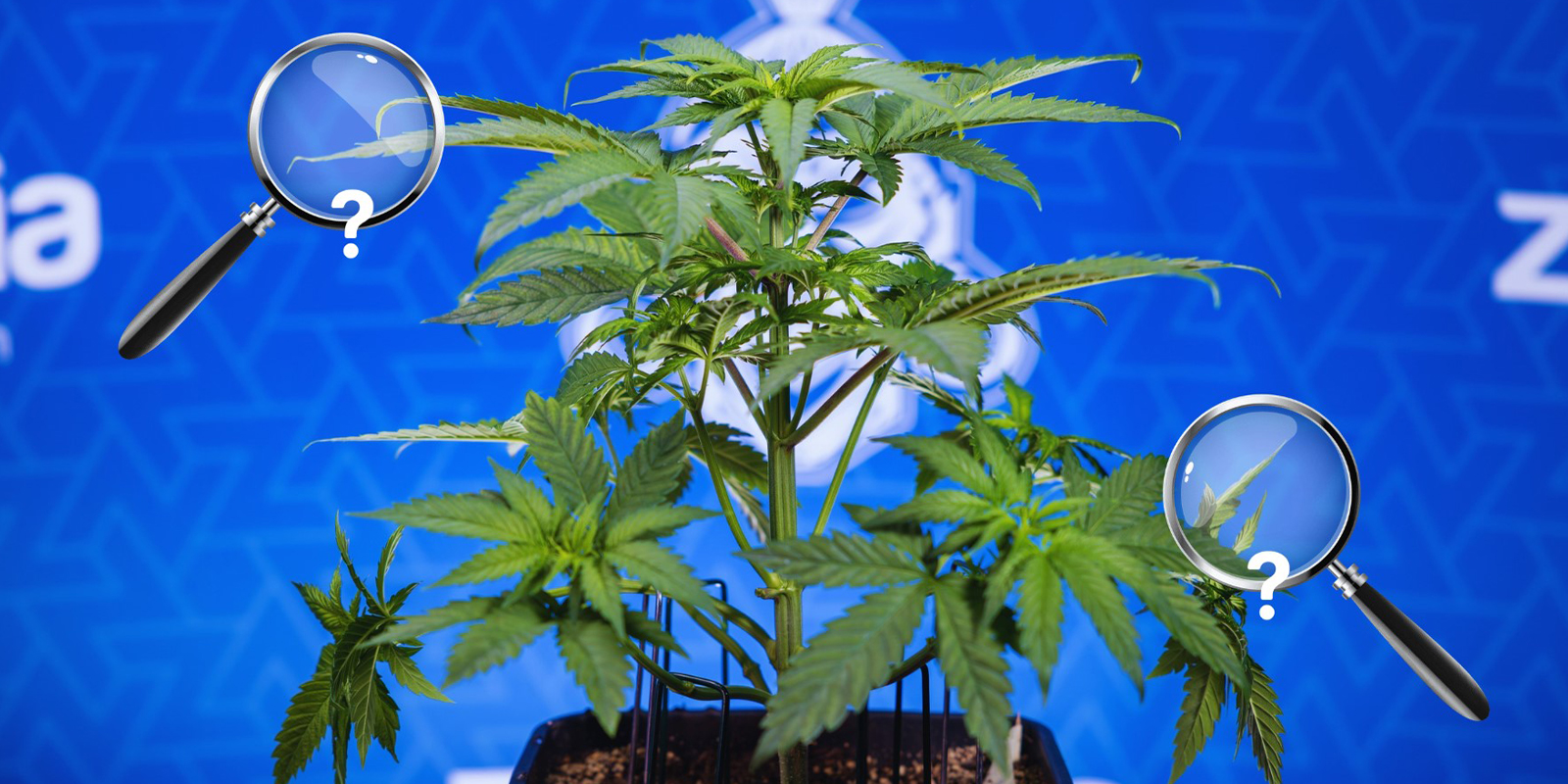 Postupn&aacute; oprava