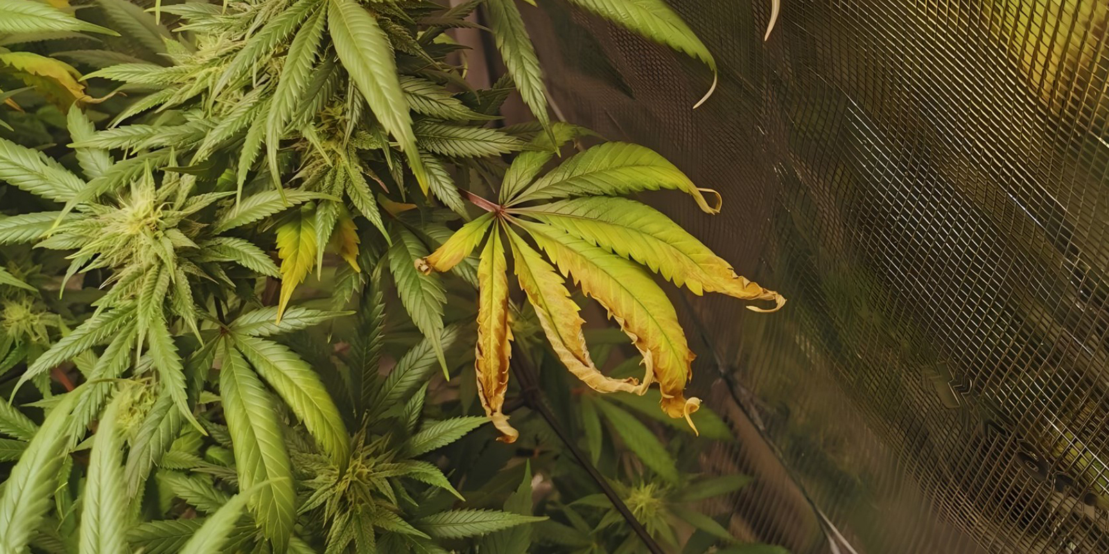 Kdy se zač&iacute;t znepokojovat