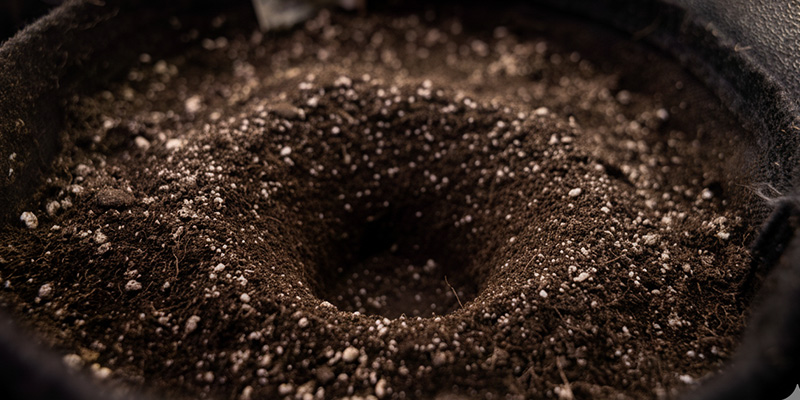 Př&iacute;prava nov&eacute;ho domova