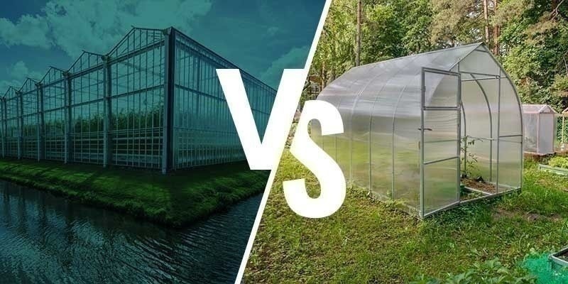 Rozd&iacute;ly mezi pěstov&aacute;n&iacute;m ve sklen&iacute;ku a v zimn&iacute; zahradě