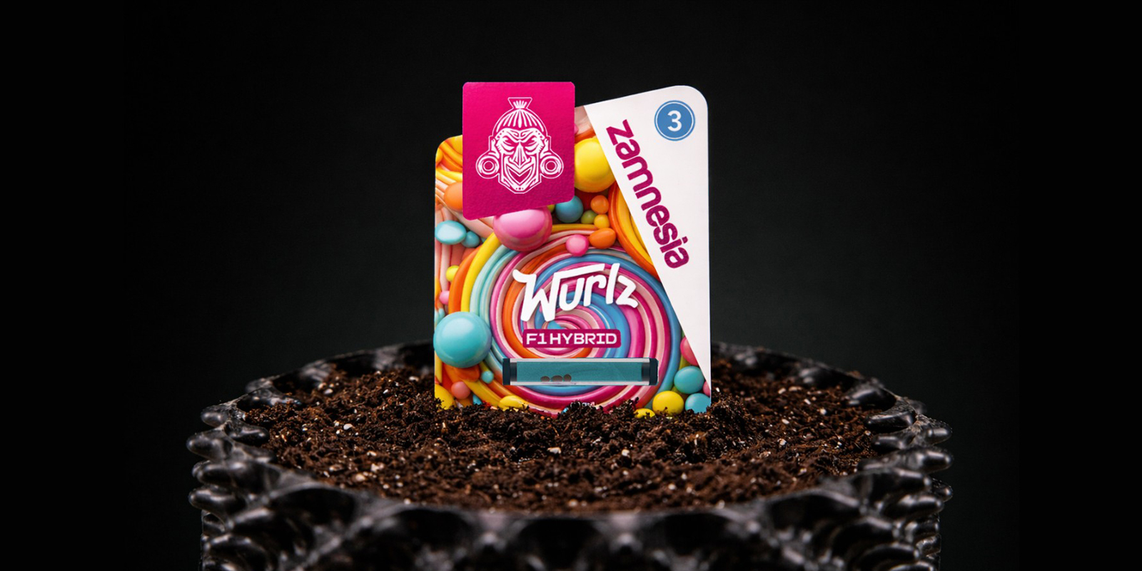 Kl&iacute;čen&iacute; samonakv&eacute;tac&iacute;ch semen