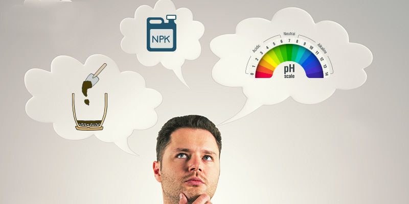 Co zv&aacute;žit při v&yacute;běru půdy pro pěstov&aacute;n&iacute; konop&iacute;