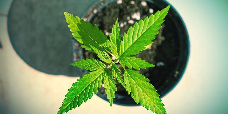 Různ&eacute; typy n&aacute;dob