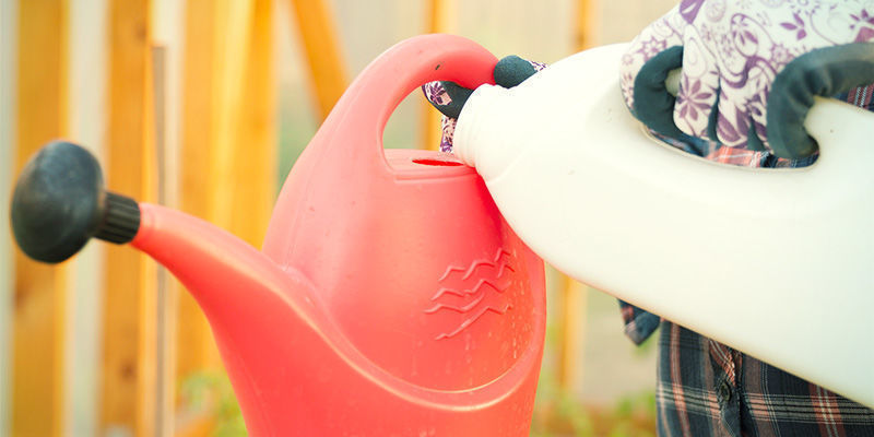 Jak připravit živn&yacute; roztok pro konop&iacute;