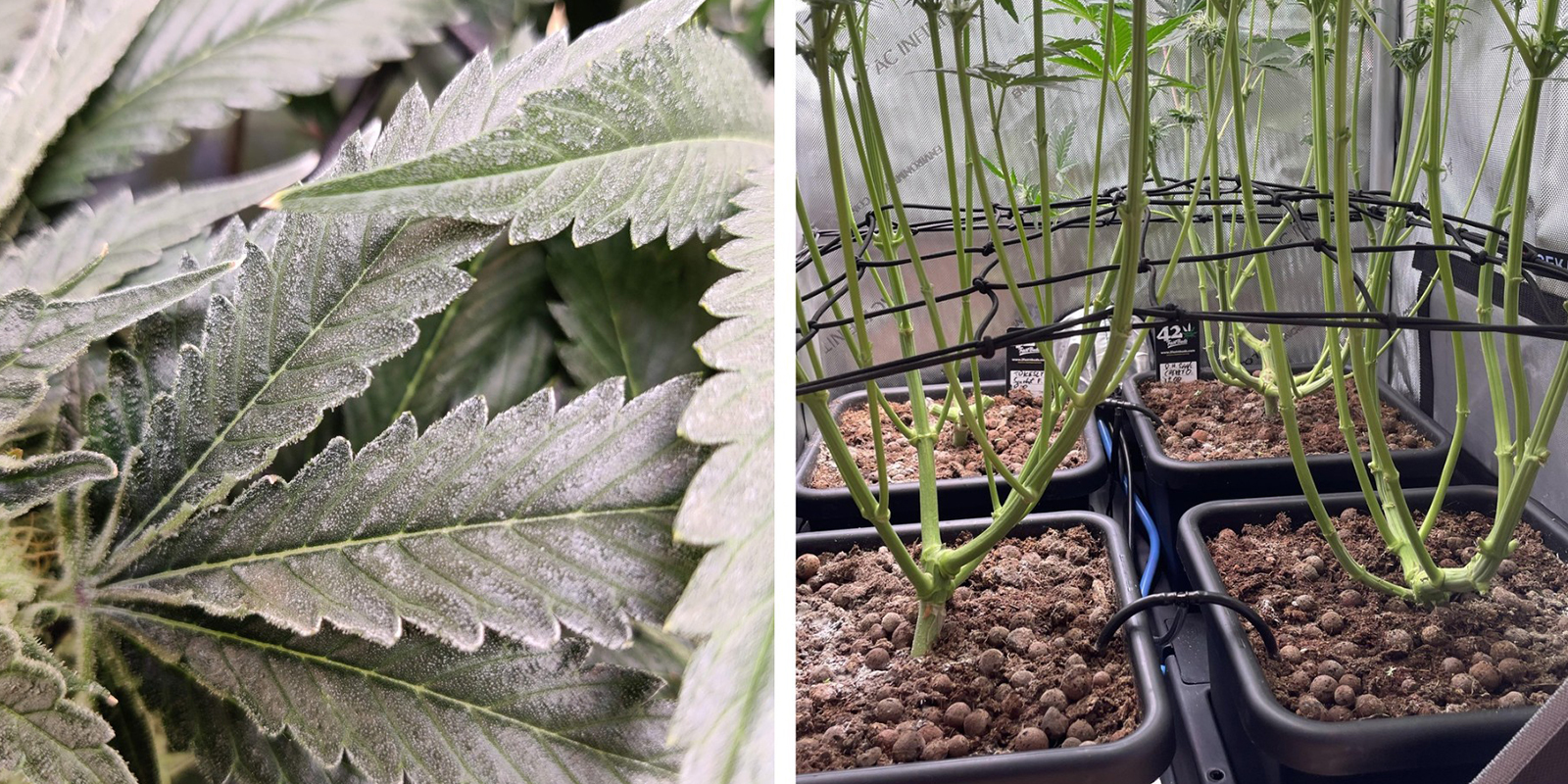 Blokace prouděn&iacute; vzduchu